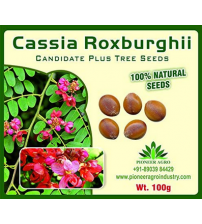 Cassia Roxburghii / Red Amaltas Tree Seed 100 grams
